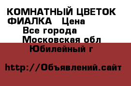 КОМНАТНЫЙ ЦВЕТОК -ФИАЛКА › Цена ­ 1 500 - Все города  »    . Московская обл.,Юбилейный г.